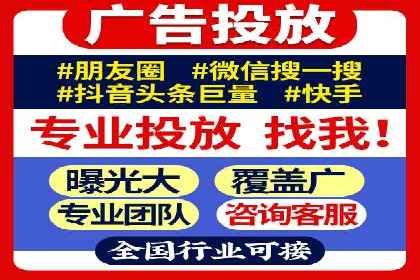 搜索引擎优化（SEO）与竞价广告（SEM）的对比案例
